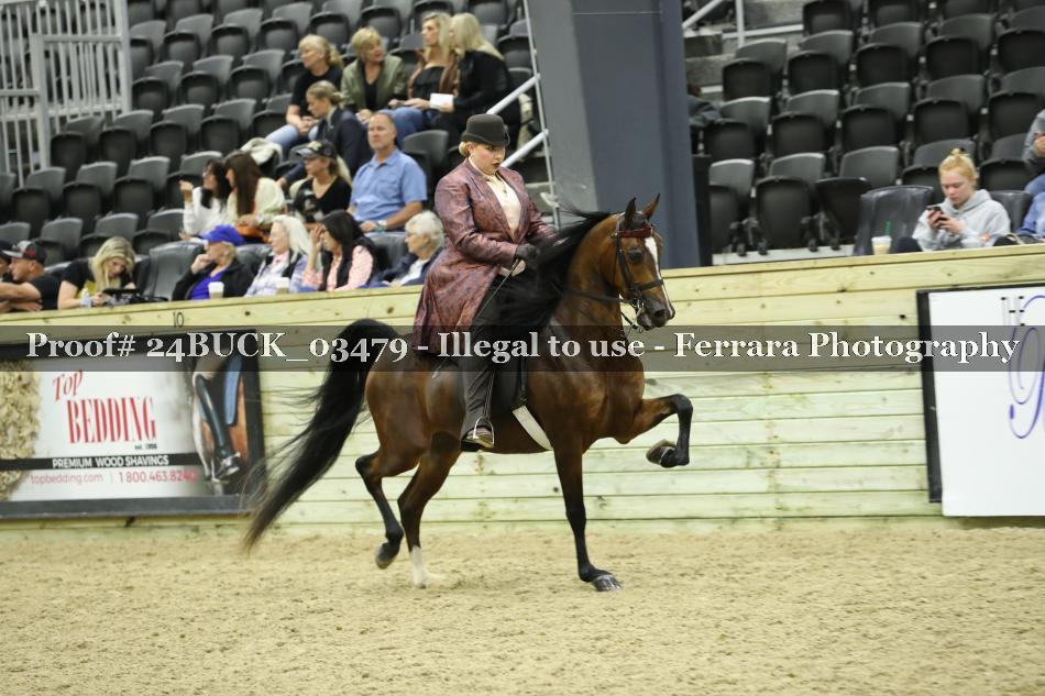 Proof 24BUCK_03479