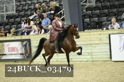 24BUCK_03479 proof