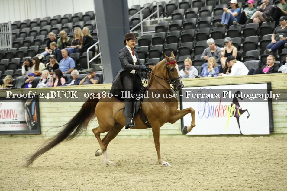 Proof 24BUCK_03480