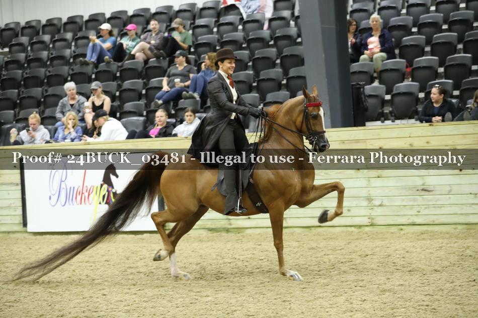 Proof 24BUCK_03481