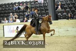 24BUCK_03481 proof