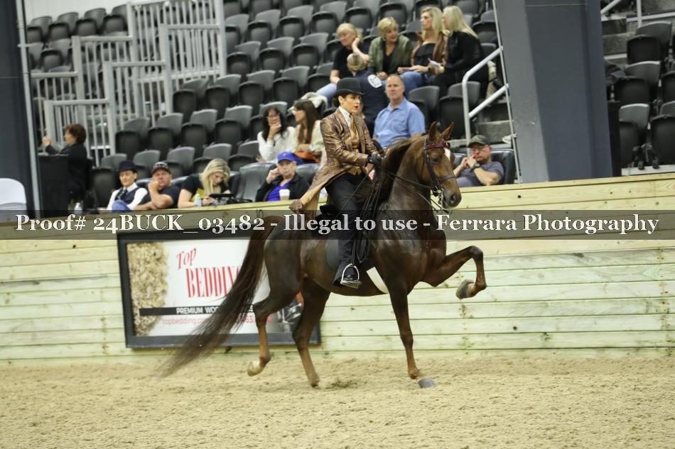 Proof 24BUCK_03482