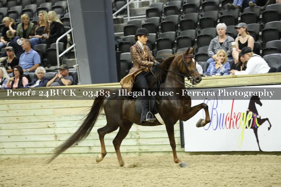 Proof 24BUCK_03483