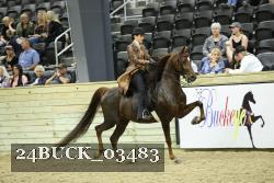 24BUCK_03483 proof