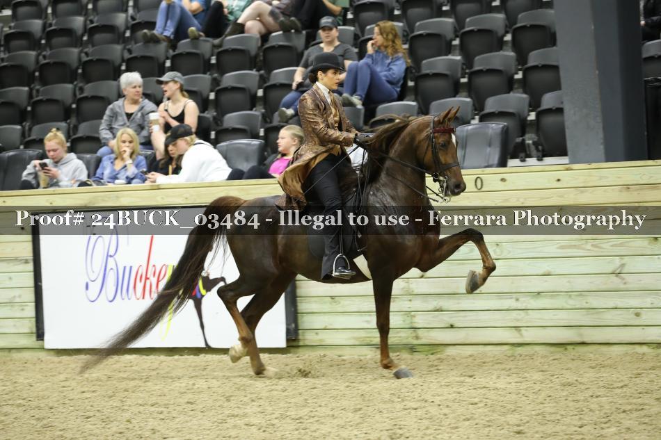 Proof 24BUCK_03484