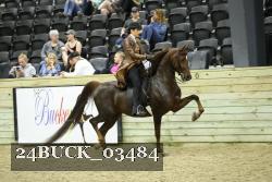 24BUCK_03484 proof