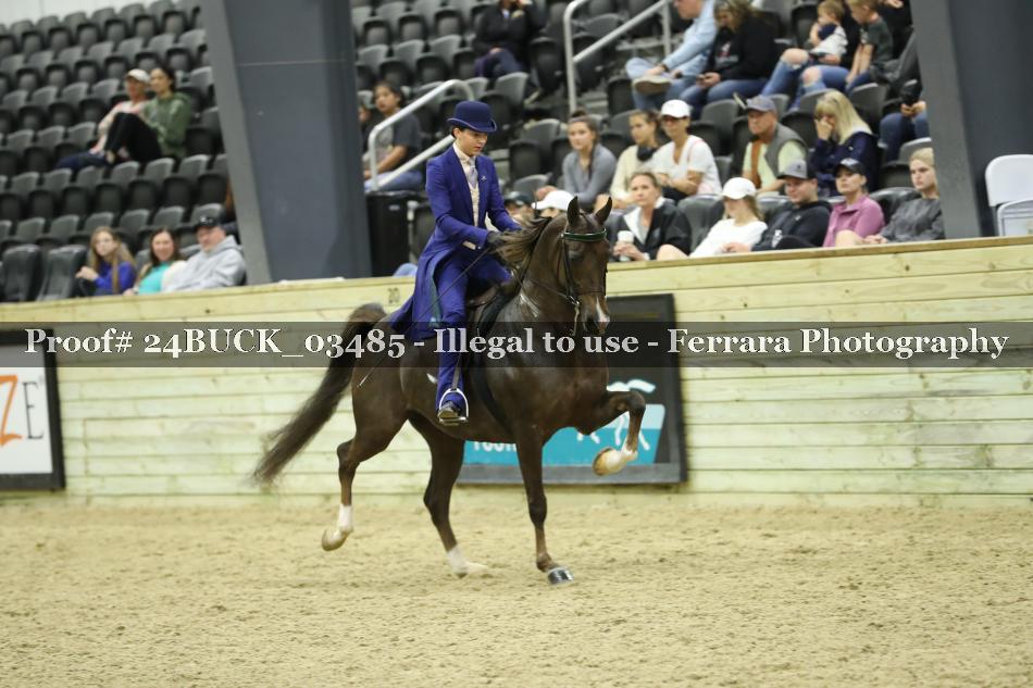 Proof 24BUCK_03485