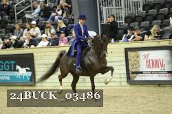 24BUCK_03486 proof