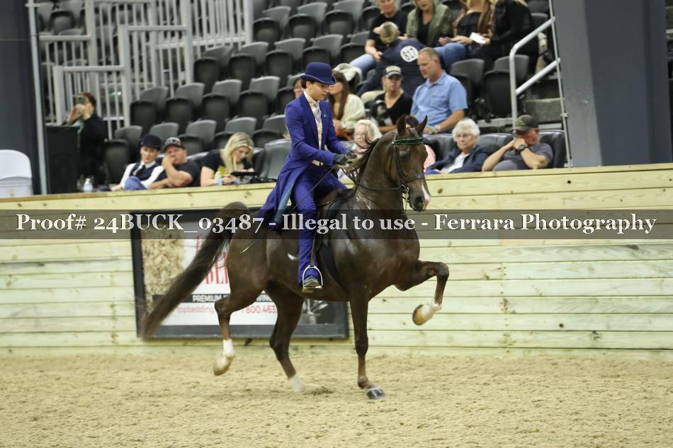 Proof 24BUCK_03487