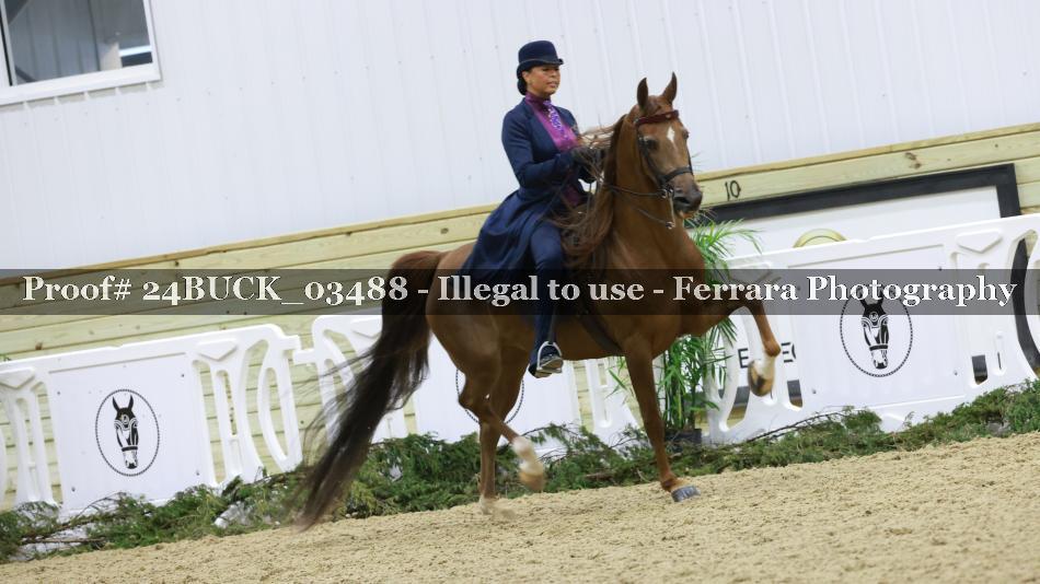 Proof 24BUCK_03488