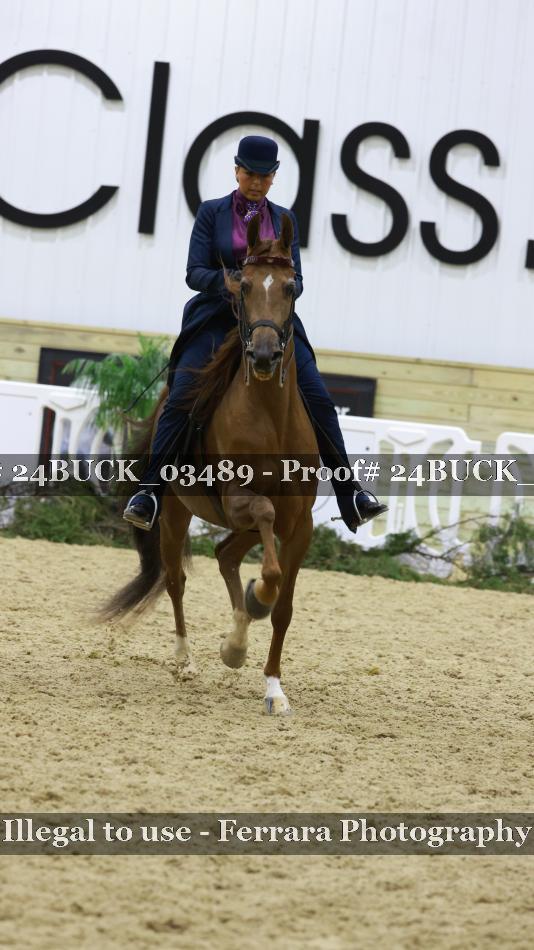 Proof 24BUCK_03489