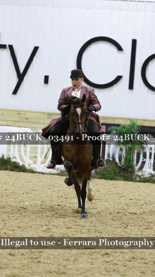 Proof 24BUCK_03491