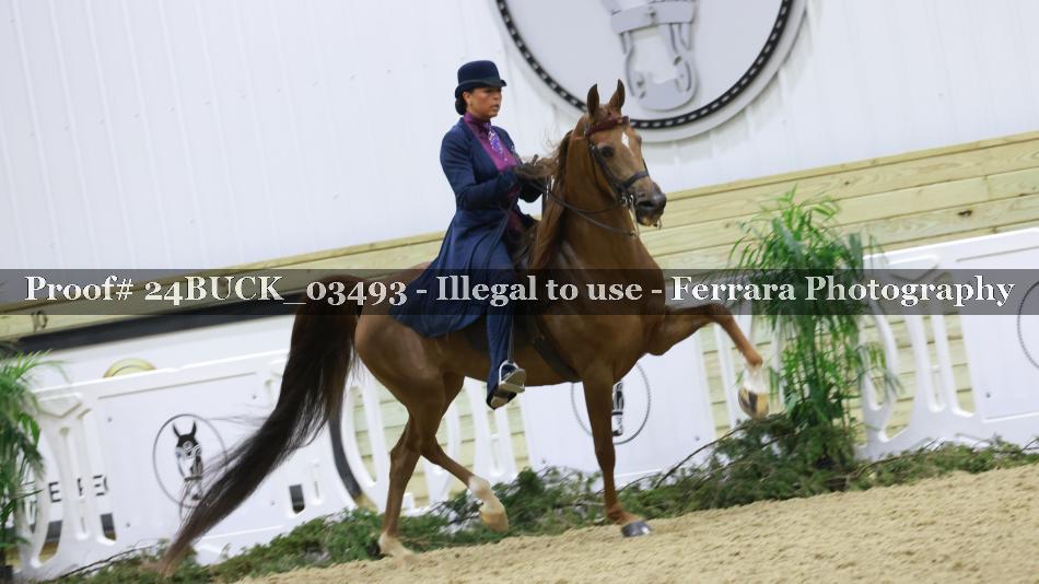 Proof 24BUCK_03493