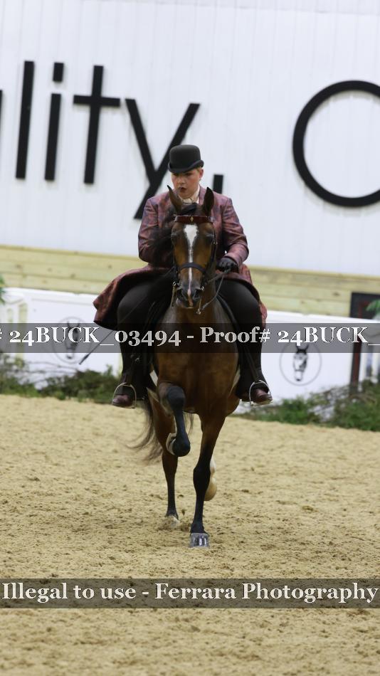 Proof 24BUCK_03494