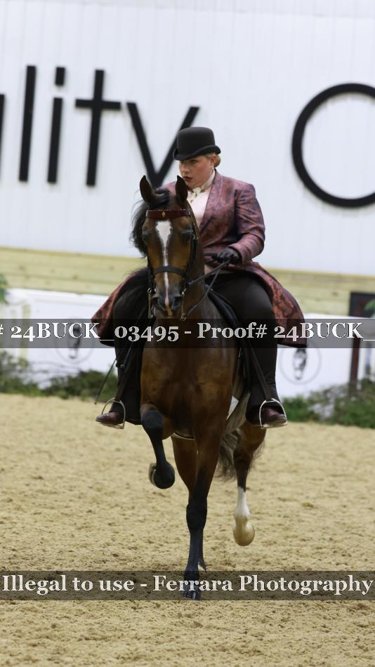 Proof 24BUCK_03495