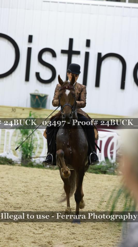 Proof 24BUCK_03497