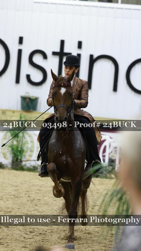 Proof 24BUCK_03498