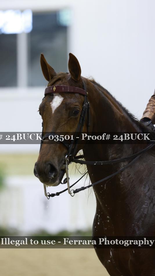 Proof 24BUCK_03501
