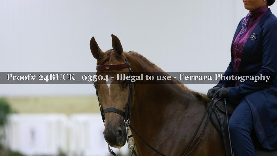 Proof 24BUCK_03504