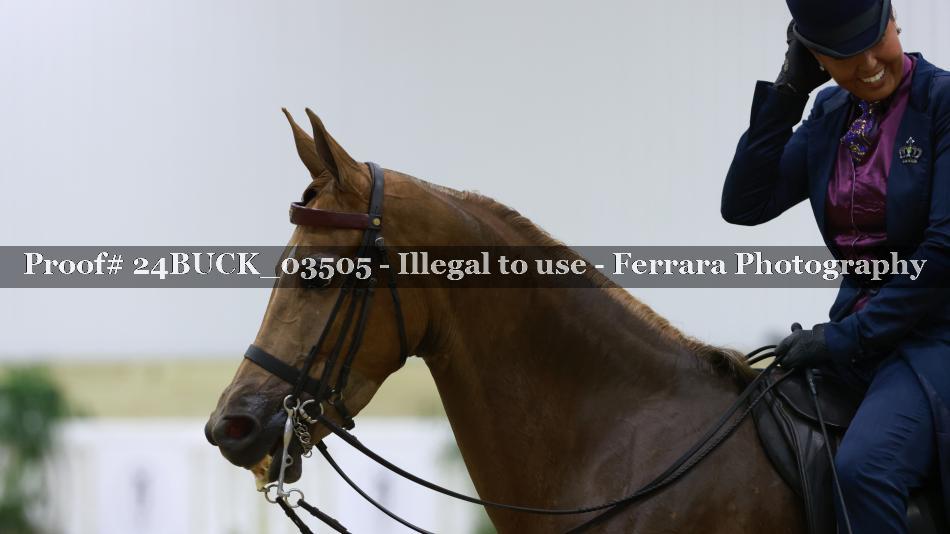 Proof 24BUCK_03505