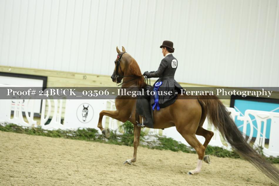 Proof 24BUCK_03506