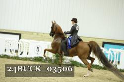 24BUCK_03506 proof