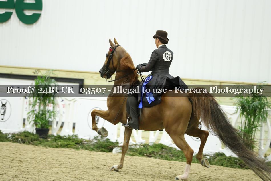 Proof 24BUCK_03507