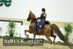 24BUCK_03507 proof