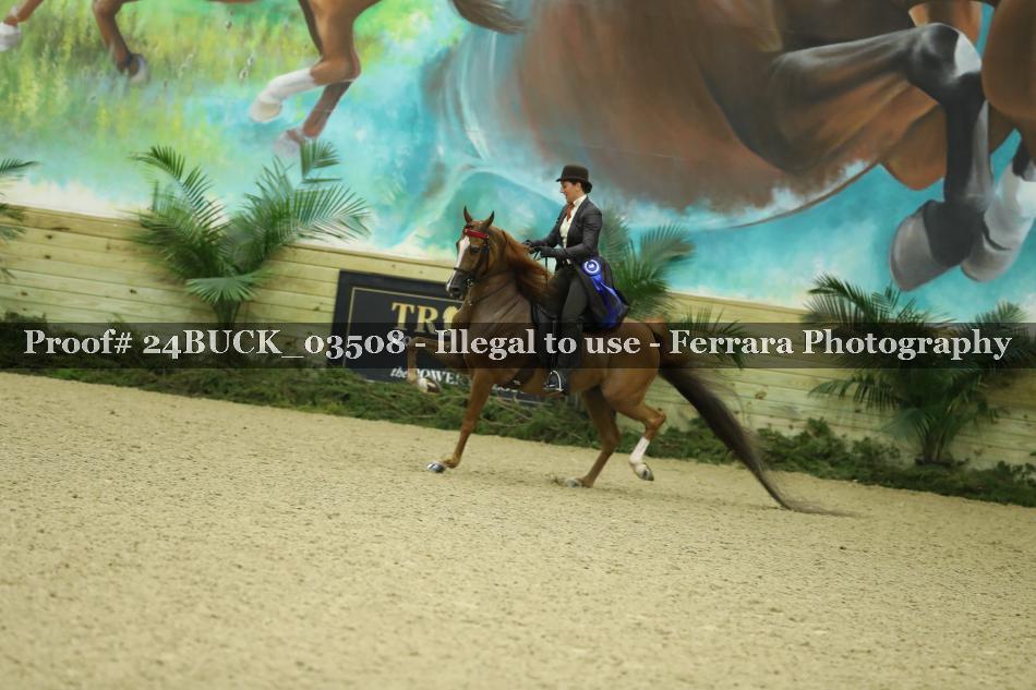 Proof 24BUCK_03508