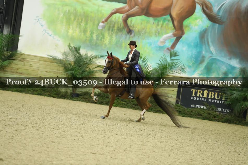 Proof 24BUCK_03509