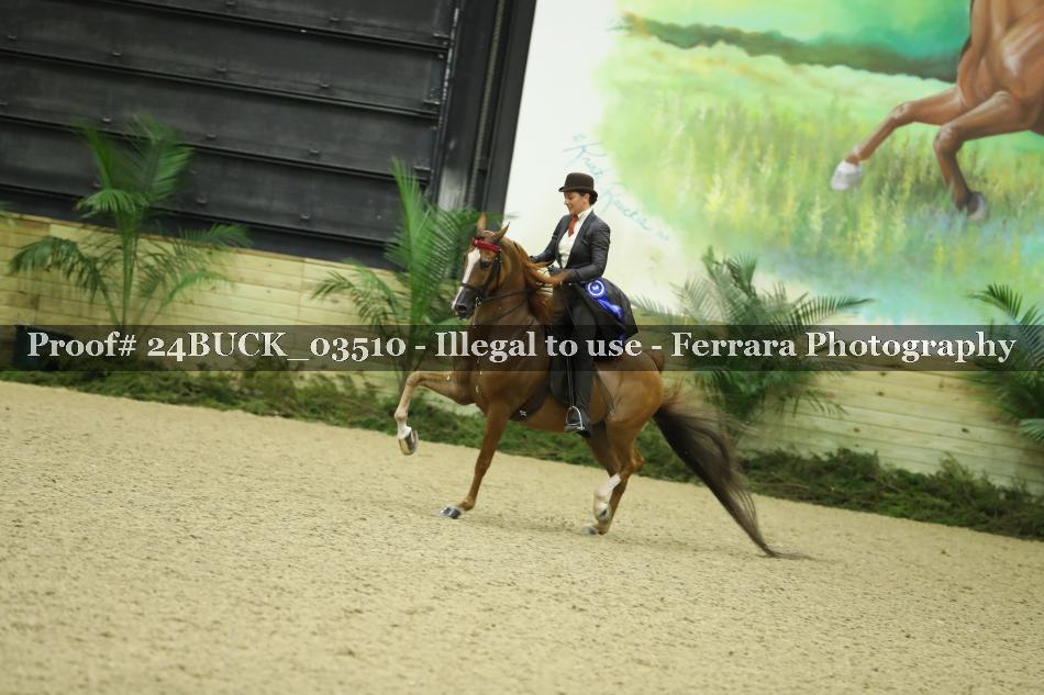 Proof 24BUCK_03510