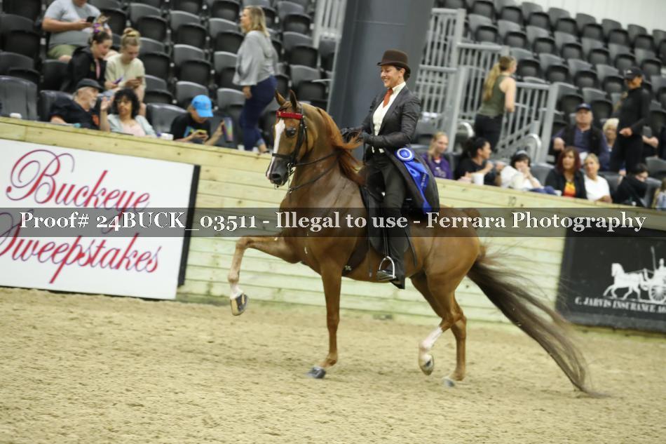 Proof 24BUCK_03511