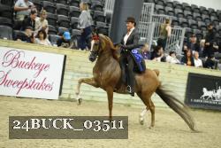 24BUCK_03511 proof