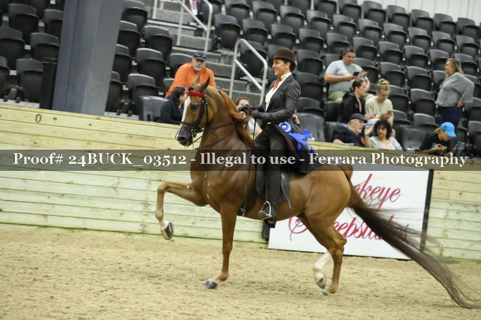 Proof 24BUCK_03512