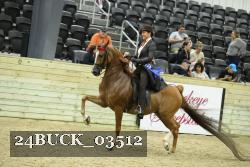 24BUCK_03512 proof