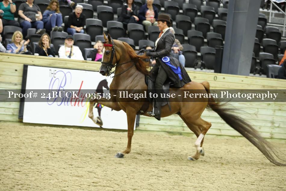 Proof 24BUCK_03513