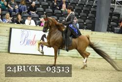24BUCK_03513 proof