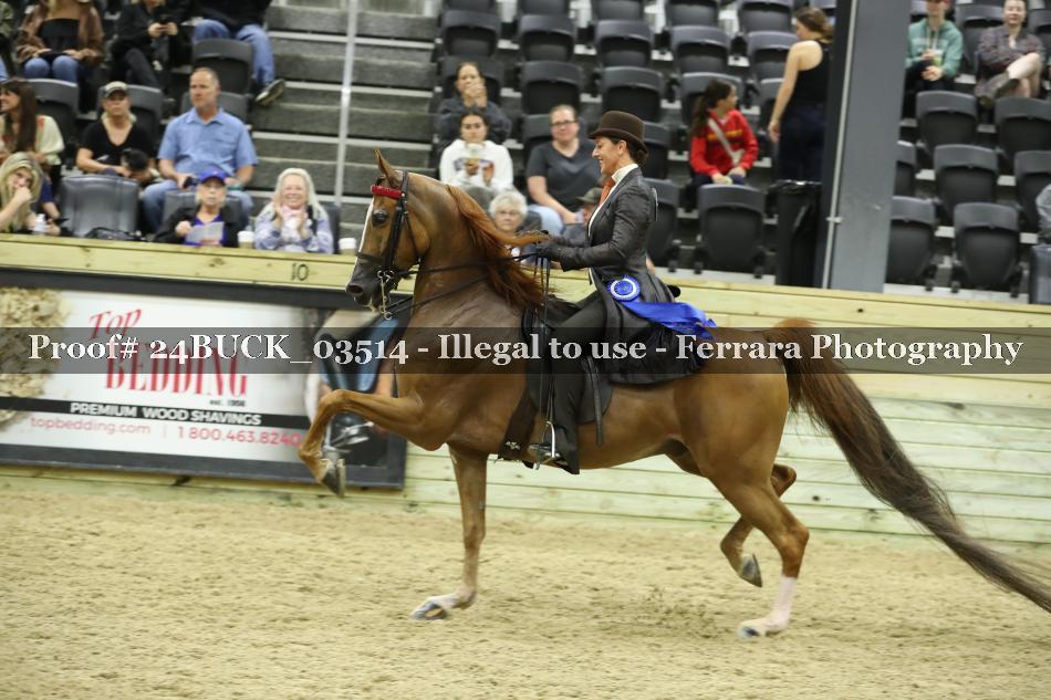Proof 24BUCK_03514