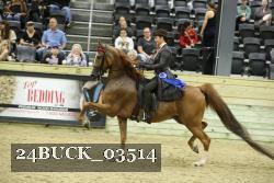 24BUCK_03514 proof