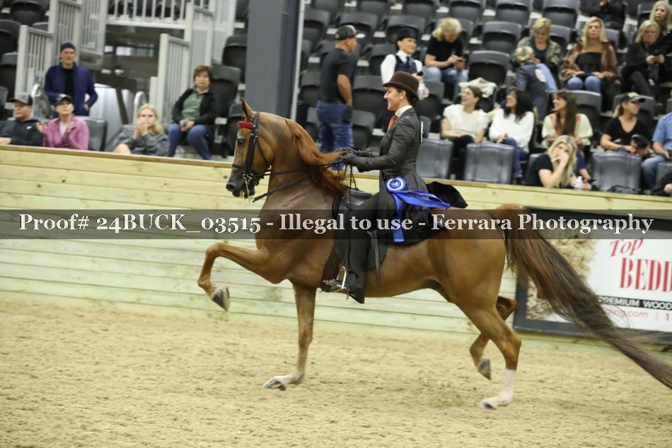 Proof 24BUCK_03515