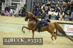 24BUCK_03515 proof
