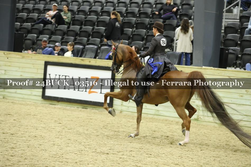 Proof 24BUCK_03516