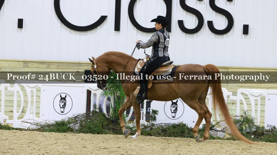 Proof 24BUCK_03520