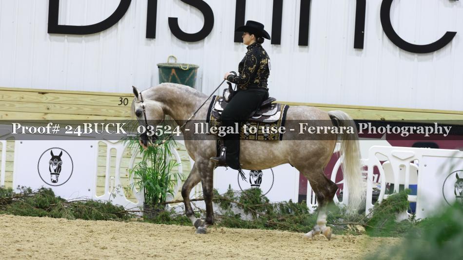 Proof 24BUCK_03524