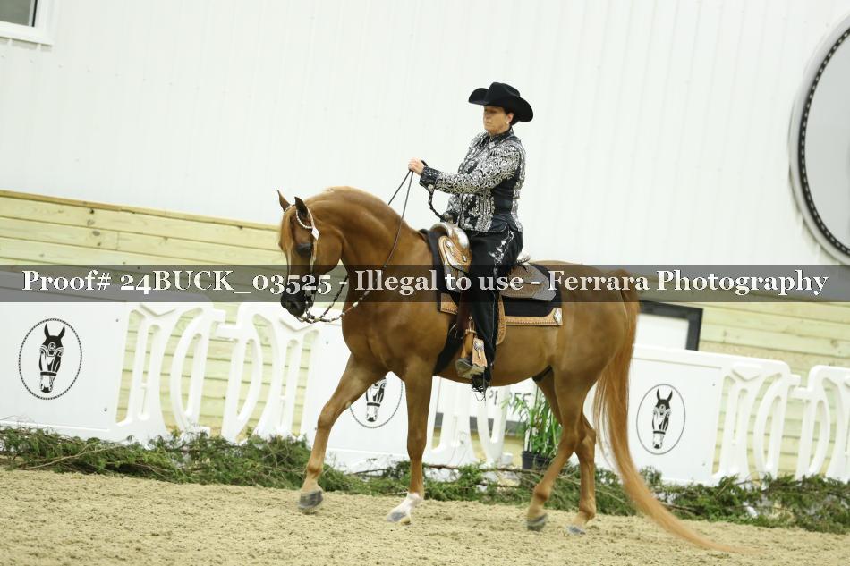 Proof 24BUCK_03525