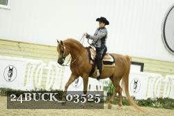 24BUCK_03525 proof