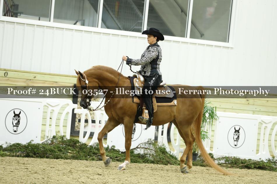 Proof 24BUCK_03527