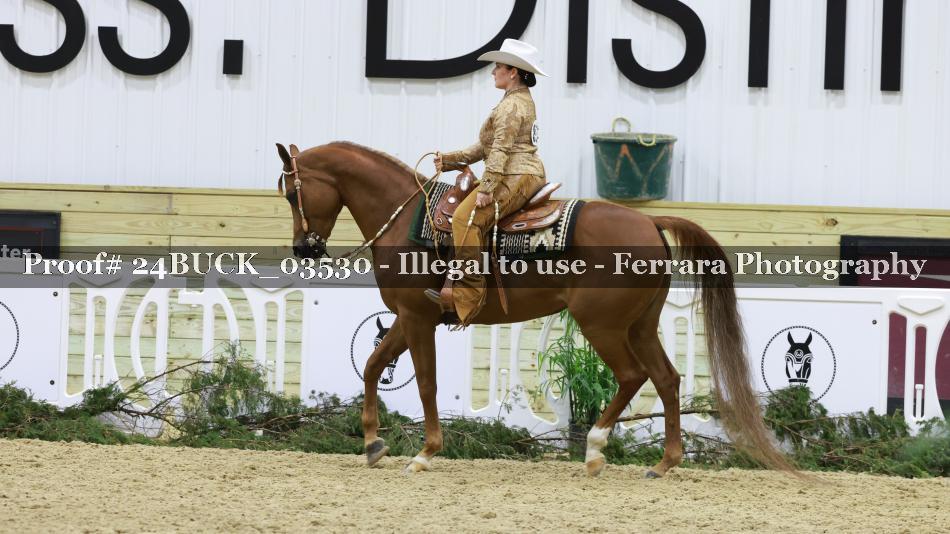 Proof 24BUCK_03530