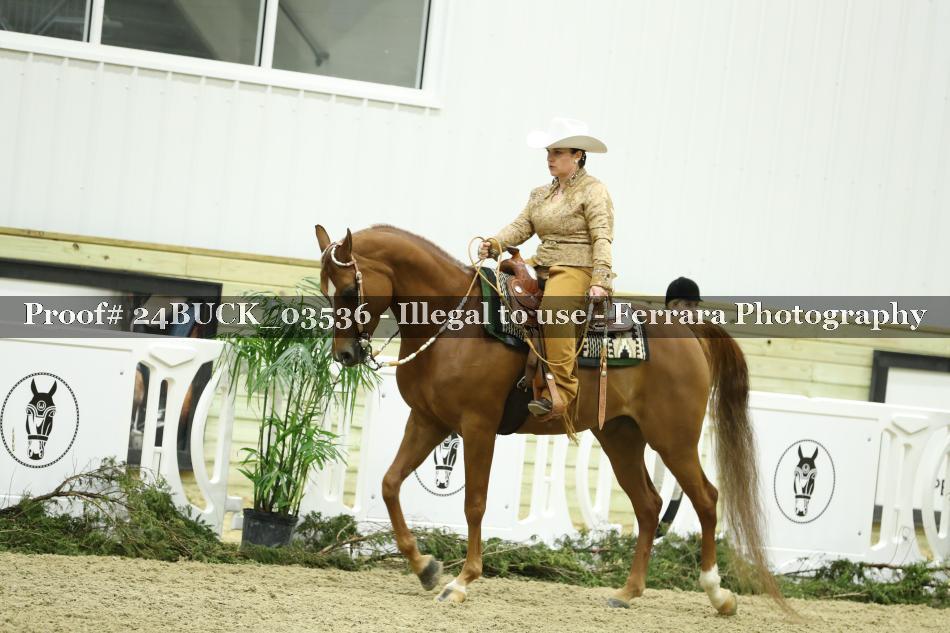 Proof 24BUCK_03536