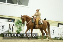 24BUCK_03536 proof